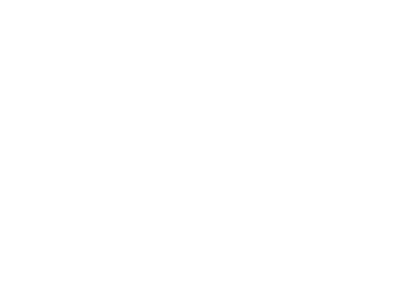 BONES Bearingsロゴ